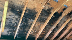 attic molding