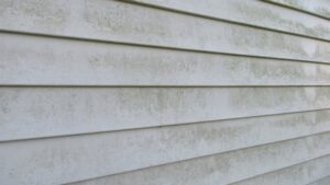 dirty siding (1)