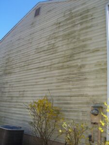 dirty siding 2 (1)
